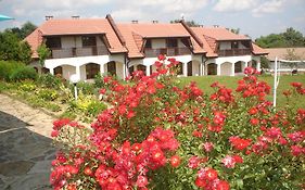 Комплекс Роден Край